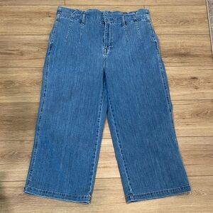 Madewell Blue Ankle Wide Leg Jeans Sz 33 Misses 16